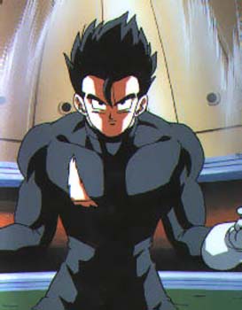 gohan11