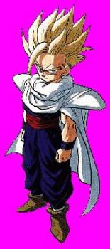 gohan9