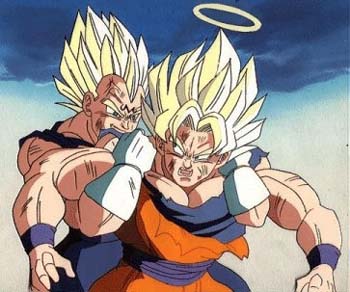 vegeta196