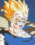 Vegeta%20mal%202