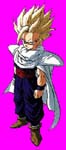 gohan9